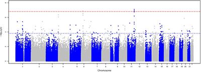 Exome Sequencing Analysis Identifies Rare Variants in ATM and RPL8 That Are Associated With Shorter Telomere Length